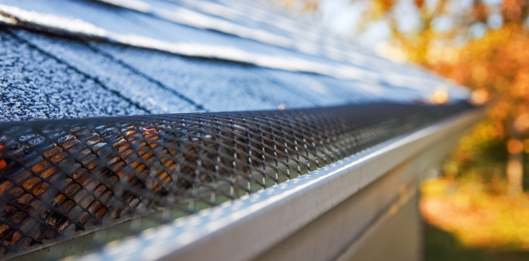 Gutter Guards